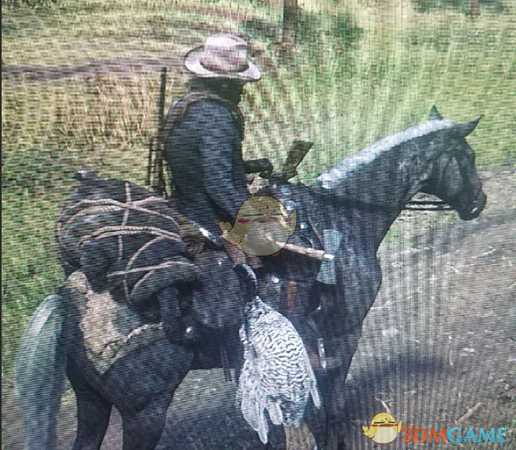 《荒野大镖客2》双头短斧获取位置分享