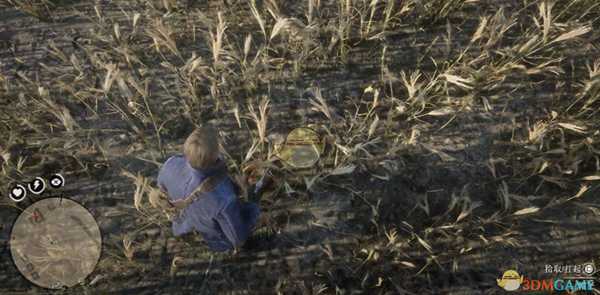 《荒野大镖客2》全特殊野外帽子位置指南