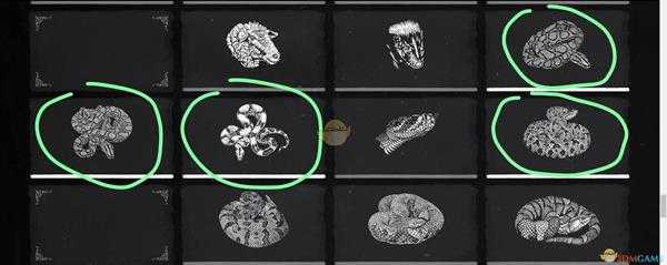 《荒野大镖客2》瓜马岛特有动物捕捉攻略