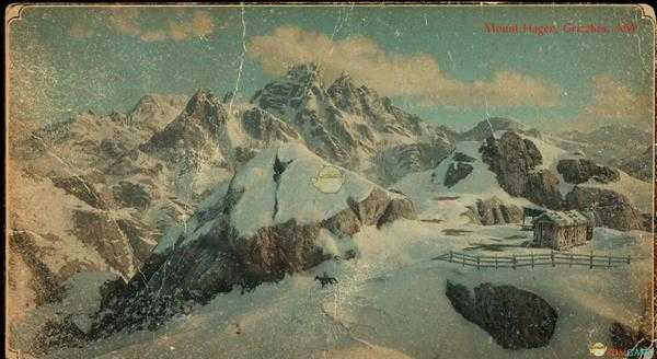 《荒野大镖客2》动物完美毛皮获取攻略