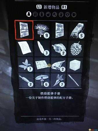 《荒野大镖客2》燃烧霰弹手册位置分享