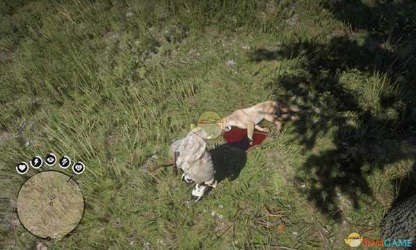 《荒野大镖客2》必出美洲狮陌生人任务分享