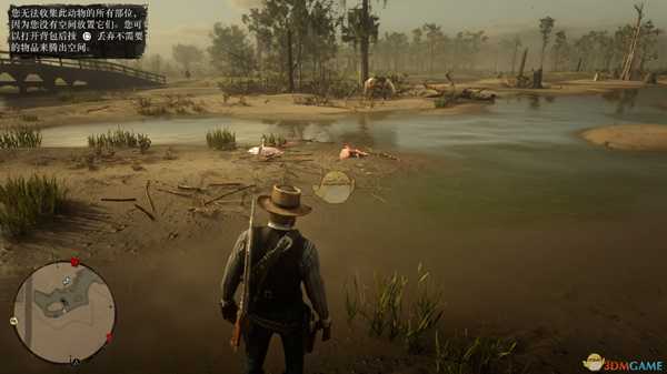 《荒野大镖客2》异宝收集任务鹭羽毛收集心得分享