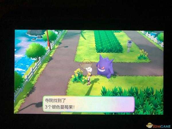 《精灵宝可梦LetsGo皮卡丘伊布》全隐藏道具位置一览