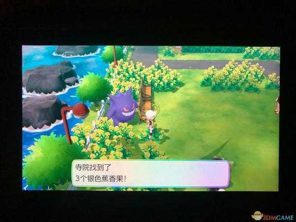 《精灵宝可梦LetsGo皮卡丘伊布》全隐藏道具位置一览