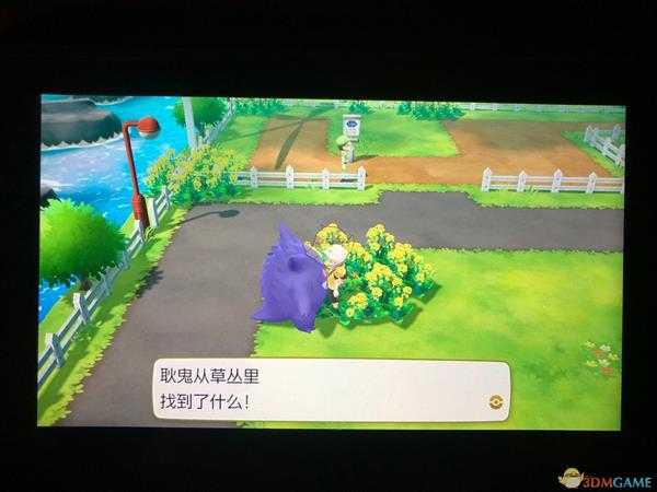 《精灵宝可梦LetsGo皮卡丘伊布》全隐藏道具位置一览