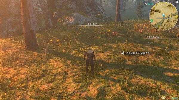 《河洛群侠传》全兽王位置图一览