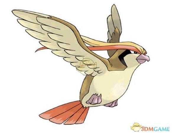 《精灵宝可梦LetsGo皮卡丘伊布》大比鸟对战配招心得分享