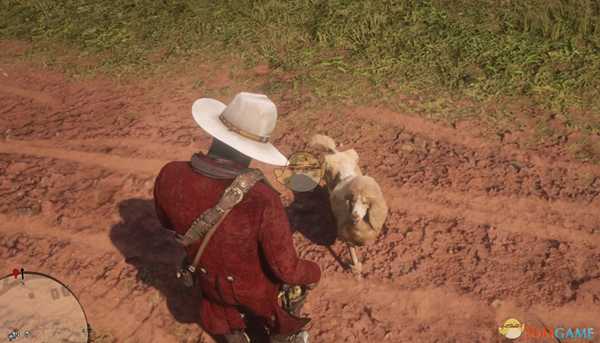 《荒野大镖客2》贵宾犬位置分享