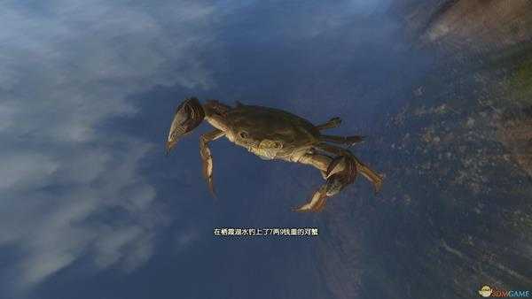 《古剑奇谭3》栖霞钓鱼点可钓鱼种类一览