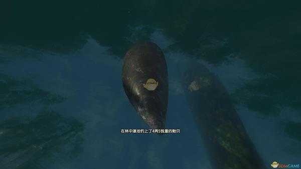 《古剑奇谭3》湖水岸钓鱼点可钓鱼种类一览