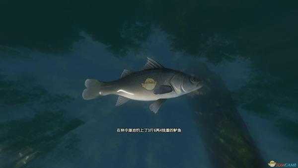 《古剑奇谭3》湖水岸钓鱼点可钓鱼种类一览