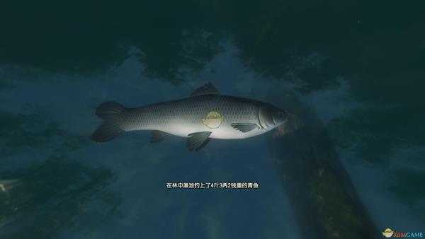 《古剑奇谭3》湖水岸钓鱼点可钓鱼种类一览