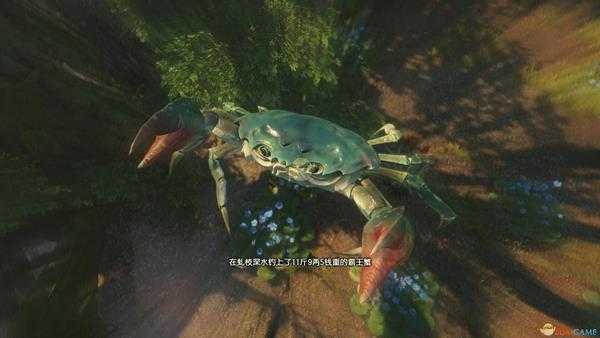 《古剑奇谭3》魔界鄢陵钓鱼点可钓鱼种类一览