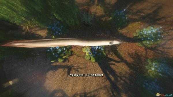 《古剑奇谭3》魔界鄢陵钓鱼点可钓鱼种类一览