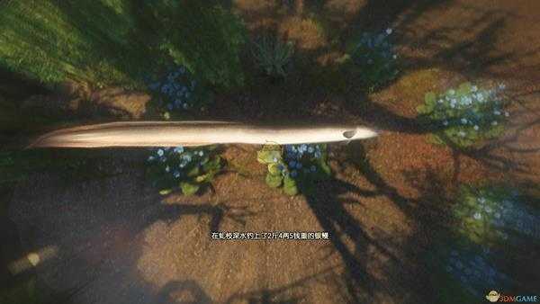 《古剑奇谭3》魔界鄢陵钓鱼点可钓鱼种类一览