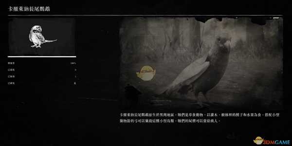 《荒野大镖客2》卡莱罗那长尾鹦鹉刷新位置及背景故事一览