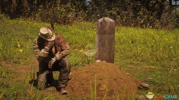 《荒野大镖客2》OL版本10级藏宝图大桥宝箱位置分享