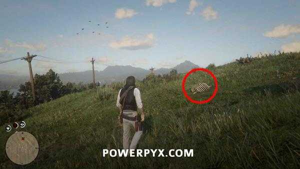 《荒野大镖客2》恐龙骨头全收集 恐龙化石全收集攻略分享