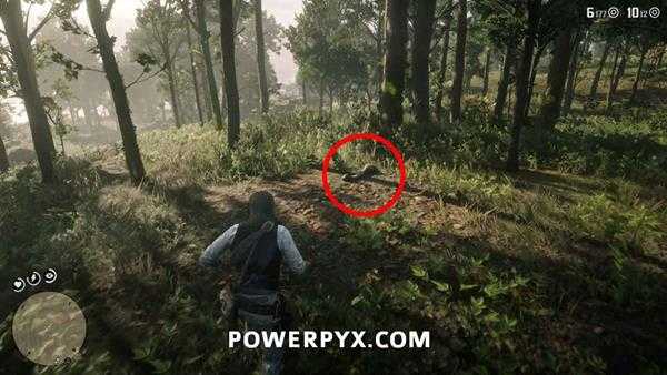 《荒野大镖客2》恐龙骨头全收集 恐龙化石全收集攻略分享