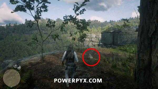 《荒野大镖客2》恐龙骨头全收集 恐龙化石全收集攻略分享