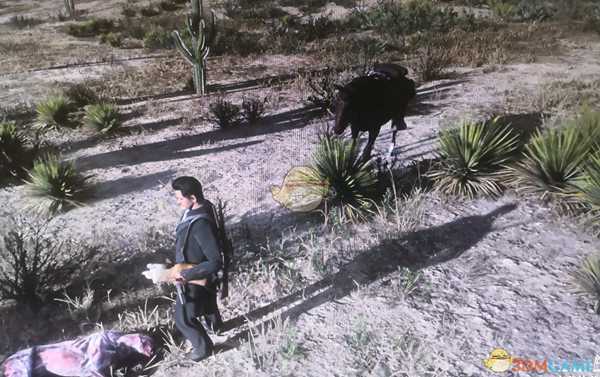 《荒野大镖客2》线上模式刷山狮位置分享