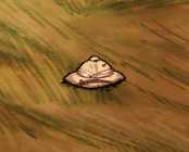 《饥荒》哈姆雷特新加工具有什么_哈姆雷特新加工具介绍