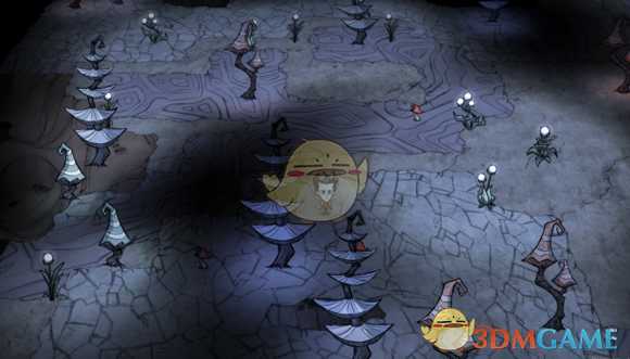 《饥荒：联机版》洞穴地形完全解析——混合菌类林篇