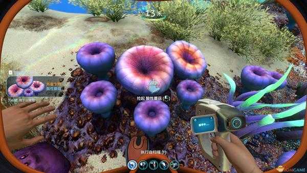 《深海迷航》自然资源材料获取攻略