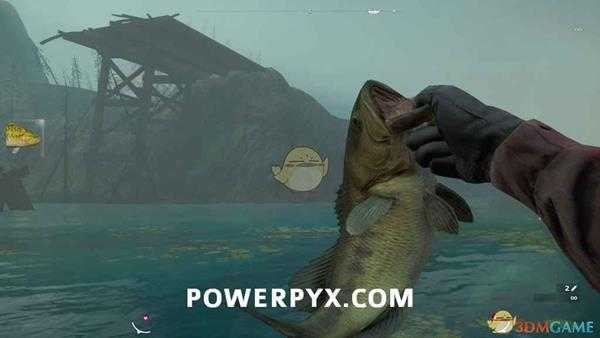 《孤岛惊魂：新曙光》全钓鱼位置一览