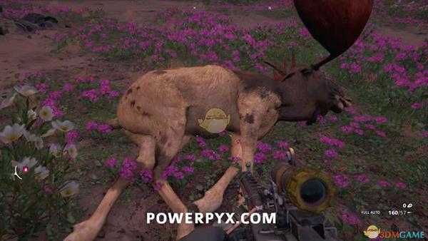 《孤岛惊魂：新曙光》麋鹿狩猎位置指南