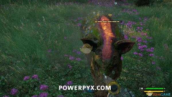 《孤岛惊魂：新曙光》残暴野猪狩猎位置指南