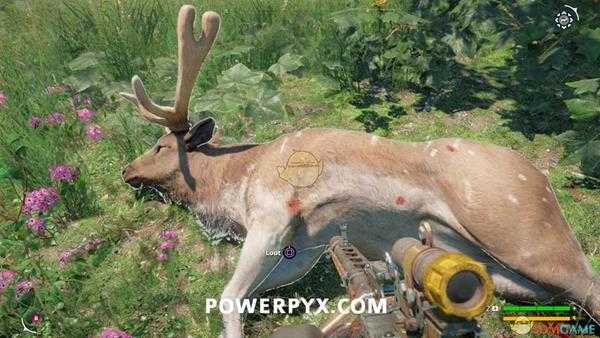 《孤岛惊魂：新曙光》驼鹿狩猎位置指南