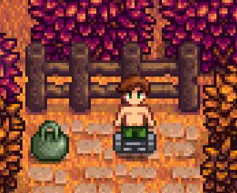 星露谷物语结婚后可以干嘛