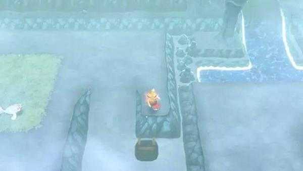 ns宝可梦双子岛怎么推石头