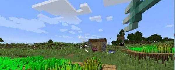 我的世界穿刺有什么用