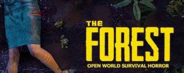 森林怎么显示队友名字