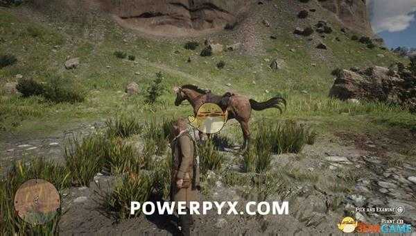 《荒野大镖客2》蒲草采集位置介绍