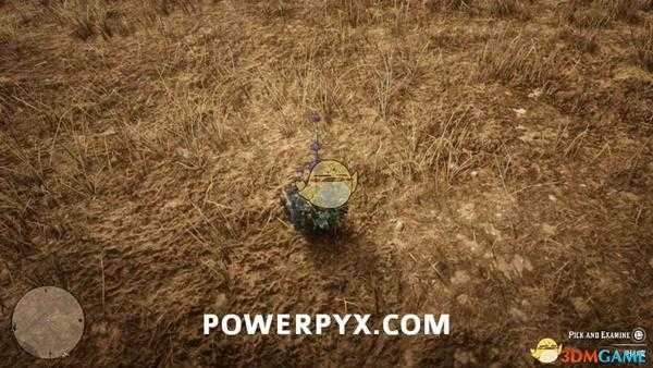 《荒野大镖客2》沙漠鼠尾草采集位置介绍