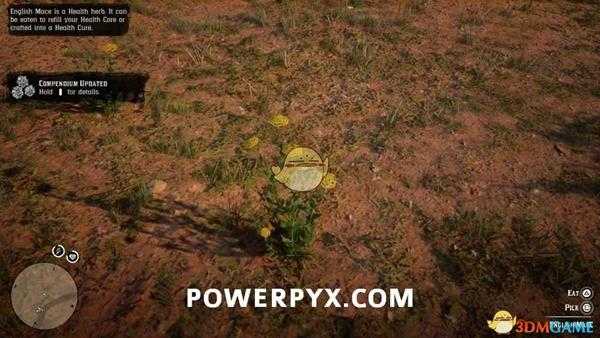 《荒野大镖客2》英国豆蔻采集位置介绍