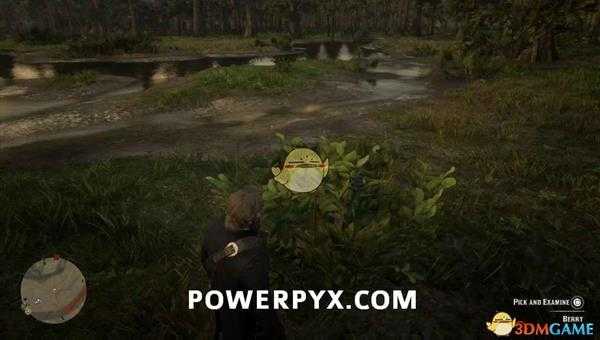 《荒野大镖客2》常青越橘莓采集位置介绍