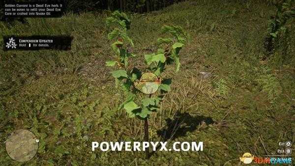 《荒野大镖客2》香茶藨子采集位置介绍