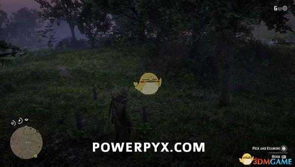 《荒野大镖客2》蜂鸟鼠尾草采集位置介绍