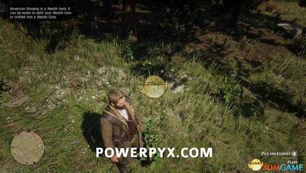 《荒野大镖客2》印第安烟草采集位置介绍