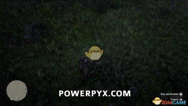 《荒野大镖客2》乳草采集位置介绍