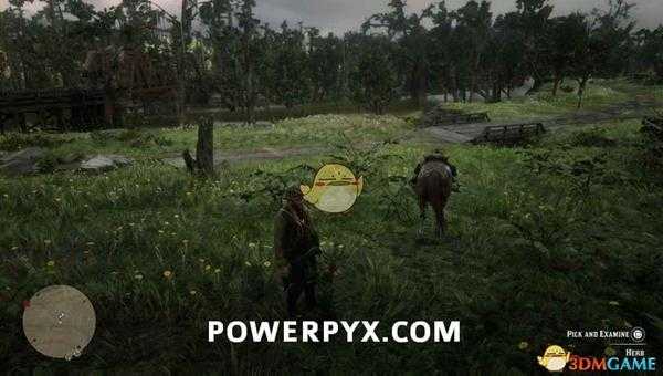 《荒野大镖客2》夹竹桃鼠尾草采集位置介绍