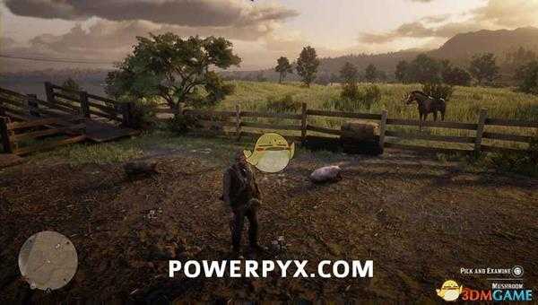 《荒野大镖客2》伞菌采集位置介绍