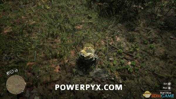 《荒野大镖客2》舞菇采集位置介绍