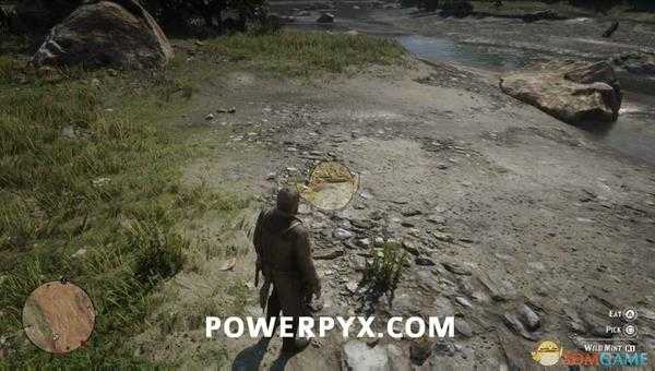 《荒野大镖客2》野生薄荷采集位置介绍