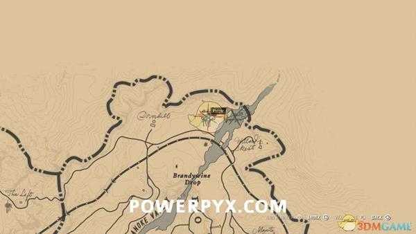 《荒野大镖客2》冬青浆果采集位置介绍